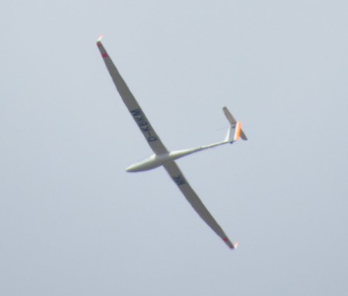 Glider - D-KBKM-01