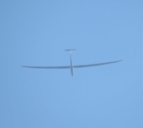 Glider - D-KCHJ-03
