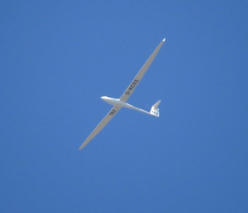 Glider - D-KCSS-01