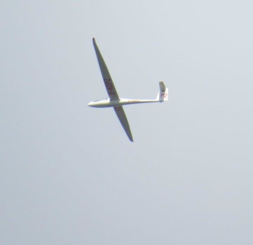 Glider - D-KDPZ-02