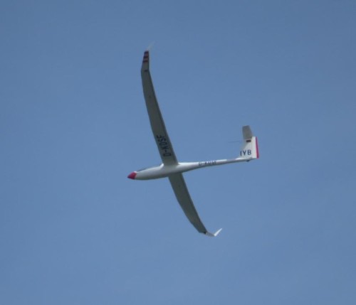 Glider - D-KDSF-02