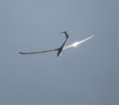 Glider - D-KDSN-02