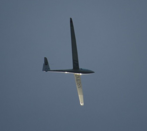 Glider - D-KDSN-03