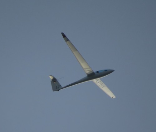 Glider - D-KDSN-04