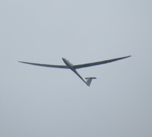 Glider - D-KEXX-04
