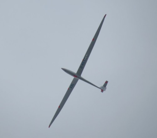 Glider - D-KEXX-05