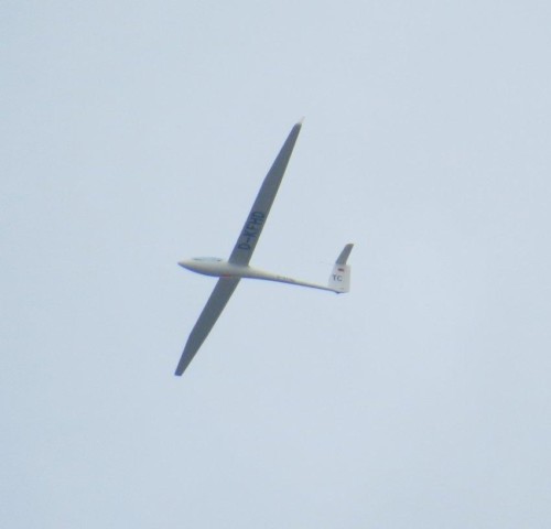 Glider - D-KFHD-01