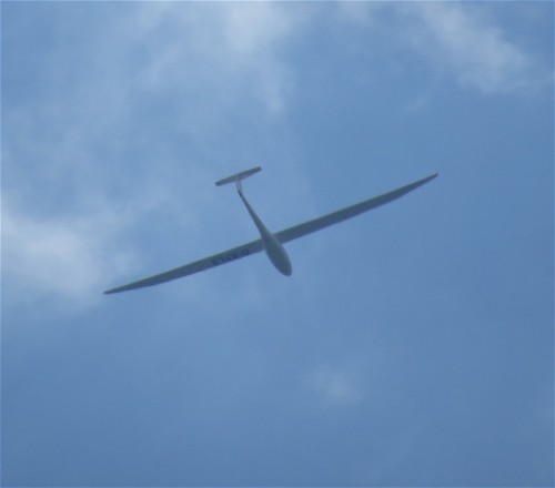 Glider - D-KFLS-01