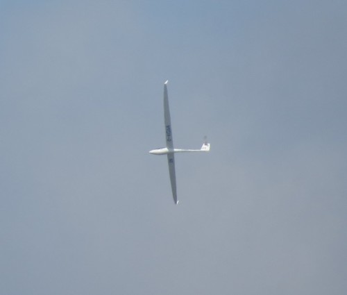 Glider - D-KGSA-01