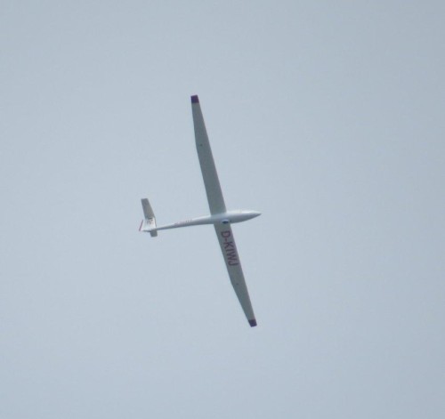 Glider - D-KIWJ-01