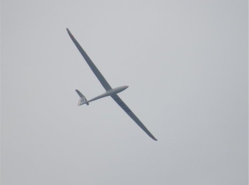 Glider - D-KKAR-01
