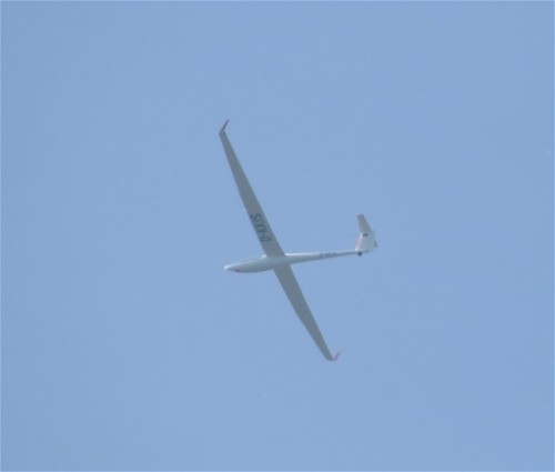 Glider - D-KKIS-01