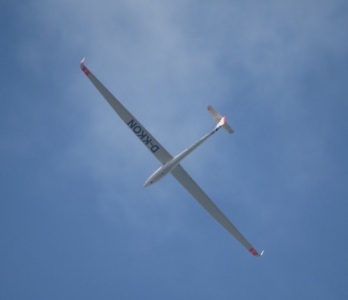 Glider - D-KKON-01