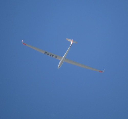Glider - D-KKON-02