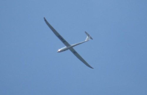 Glider - D-KKVO-01