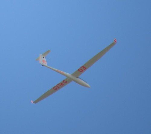 Glider - D-KLEO-02