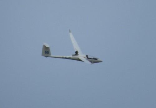 Glider - D-KLJM-01