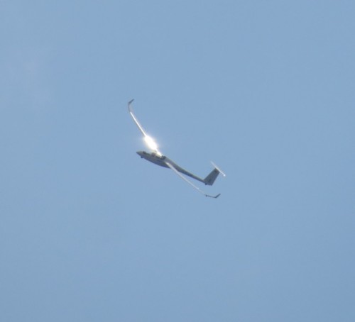 Glider - D-KLUM-01