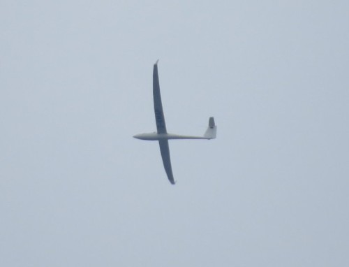 Glider - D-KMAP-01