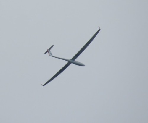 Glider - D-KOYF-02