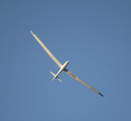 Glider - D-KPRD-03