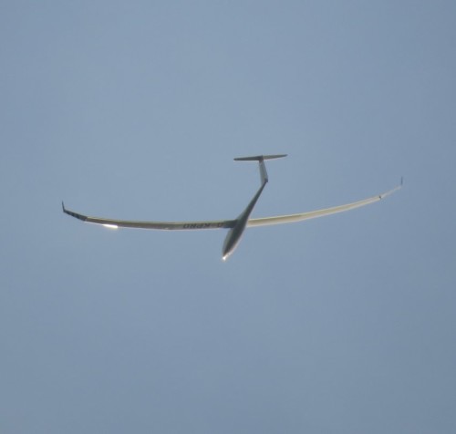 Glider - D-KPRD-06