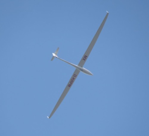 Glider - D-KRPM-03