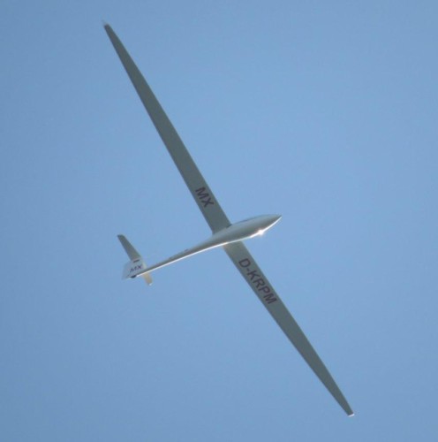 Glider - D-KRPM-05