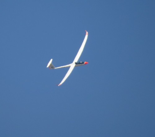 Glider - D-KSAP-03