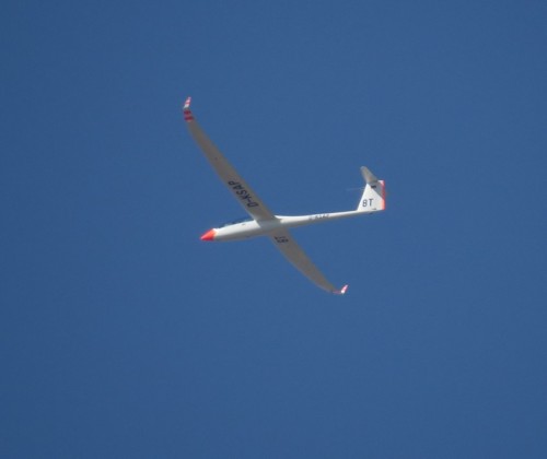 Glider - D-KSAP-04