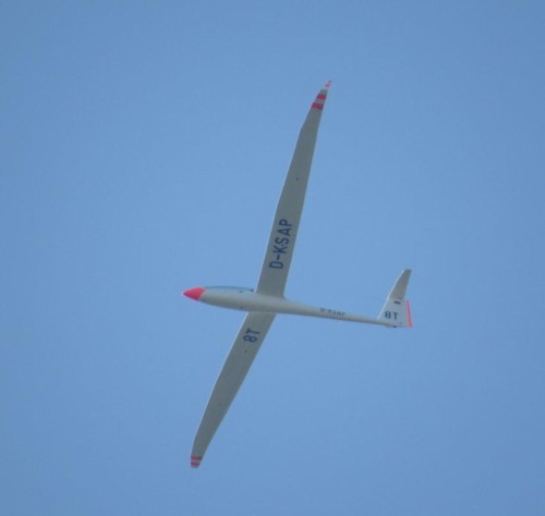 Glider - D-KSAP-08