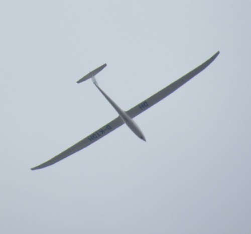Glider - D-KTDH-02