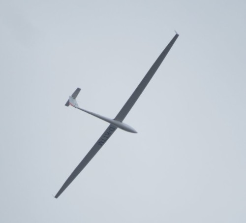 Glider - D-KTTM-01