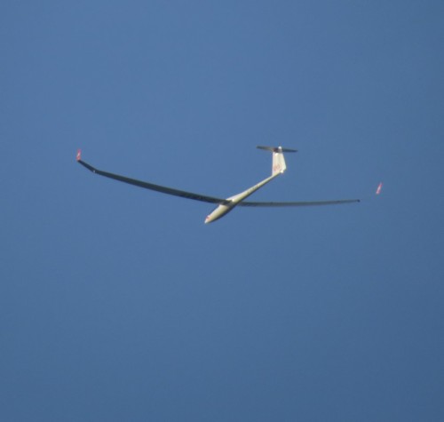 Glider - D-KWAB-03