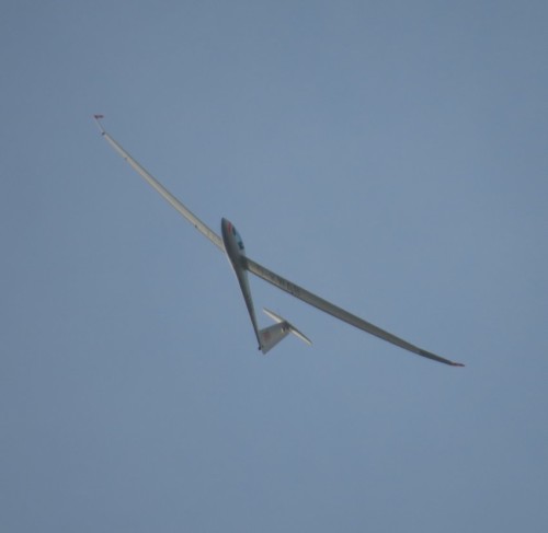Glider - D-KWAB-04