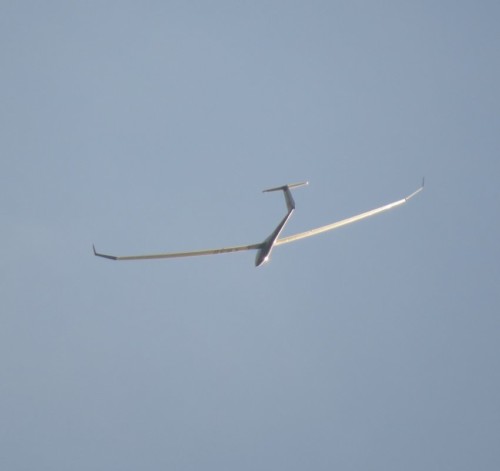 Glider - D-KWAB-05