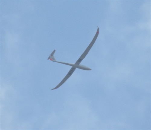 Glider - D-KXMO-01