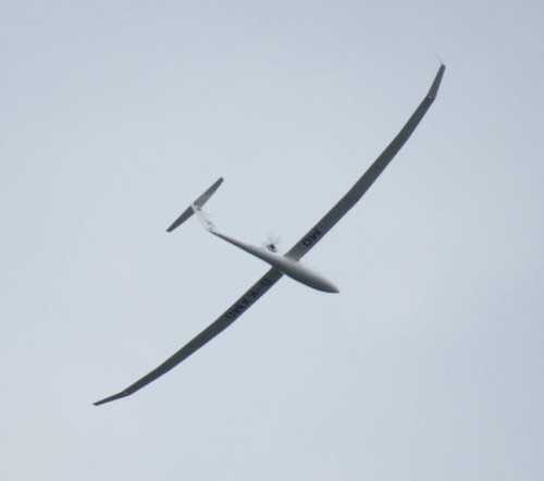 Glider - D-KXMO-06