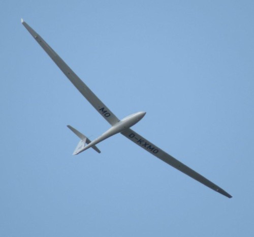 Glider - D-KXMO-08