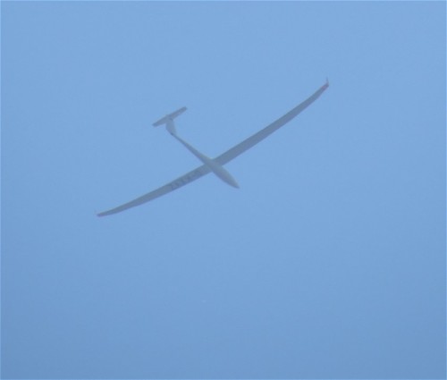 Glider - D-KXYZ-01