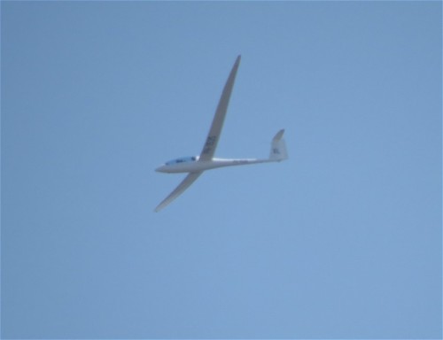 Glider - PH-1535-01