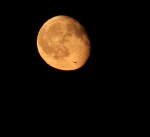 010 - 2011-Moon+Unknown