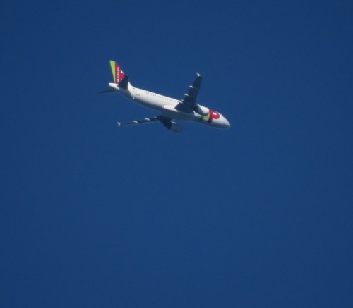 TAPPortugal04