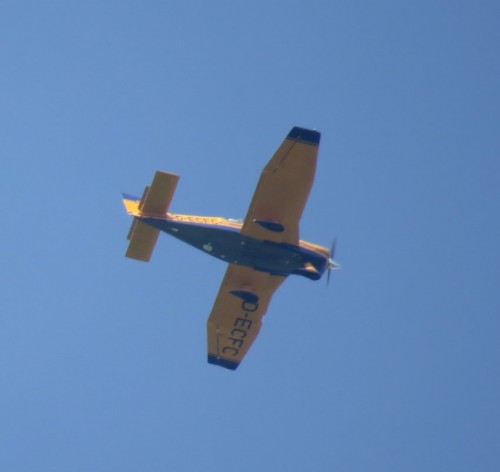 SmallAircraft-D-ECFC-01