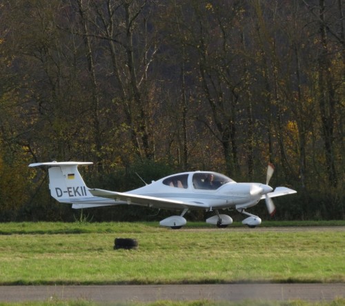 SmallAircraft-D-EKII-01