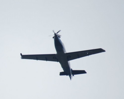 SmallAircraft-D-FFUM-04