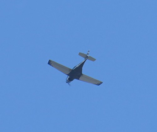 SmallAircraft-D-MVZG-01