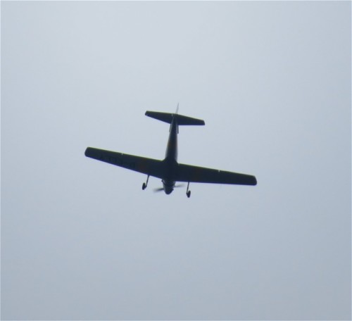 SmallAircraft - D-ELLY-01