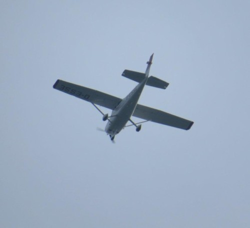 SmallAircraft - D-ESSE-02 (1)