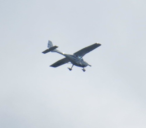 SmallAircraft - D-MEGX-01